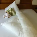 Hotel Alpin Garni Eder - Private Living