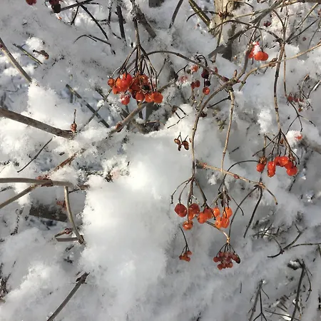 Hotel Alpin Garni Eder - Private Living